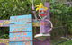 Vision Walks Eco Tours - thumb 24