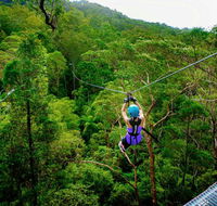 Canyon Flyer - Restaurant Gold Coast