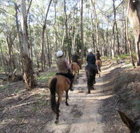Silver Brumby Trails - Restaurant Gold Coast
