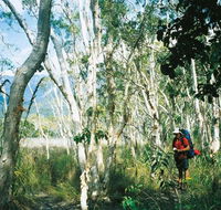 Thorsborne Trail Hinchinbrook Island National Park - Restaurant Gold Coast