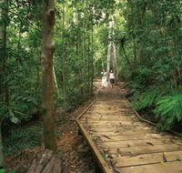 Lake Barrine Circuit Track Crater Lakes National Park - Restaurant Gold Coast