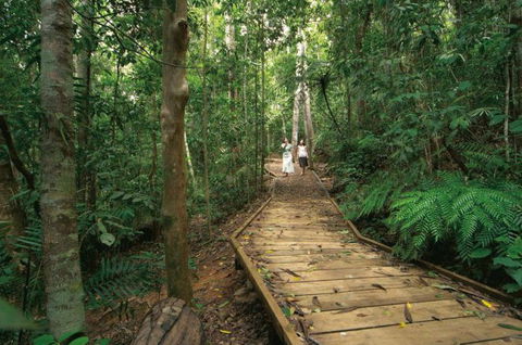 Lake Barrine Circuit Track, Crater Lakes National Park - Restaurant Gold Coast 1