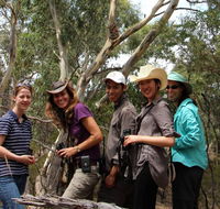 Echidna Walkabout Nature Tours - Restaurant Gold Coast