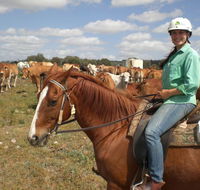 Myella Farm Stay Tours - Restaurant Gold Coast