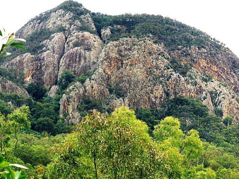 Mount Greville Track - Restaurant Gold Coast 0