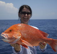 Absolute Ocean Charters - Restaurant Gold Coast