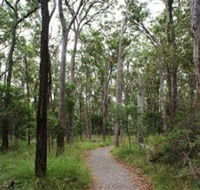 Caboolture Regional Environment Education Centre - Walking Trails - Restaurant Gold Coast