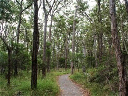 Caboolture Regional Environment Education Centre - Walking Trails - Restaurant Gold Coast 0