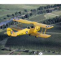 Royal Newcastle Aero Club - Restaurant Gold Coast