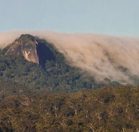 North Queensland Wildscapes Phototours - Restaurant Gold Coast