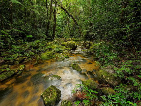 North Queensland Wildscapes Phototours - Restaurant Gold Coast 2