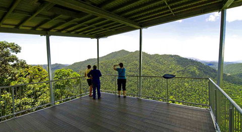 North Queensland Wildscapes Phototours - Restaurant Gold Coast 6