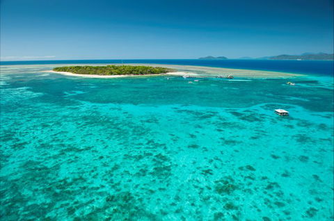 Big Cat Green Island Reef Cruises - Restaurant Gold Coast 16