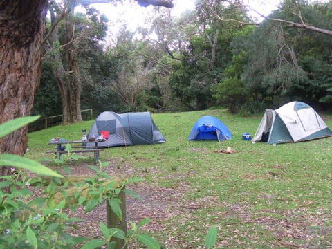 Booderee National Park: Cave Beach Camping Area - Restaurant Gold Coast 0