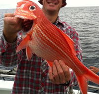 Goin' Off Safaris - Restaurant Gold Coast