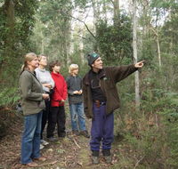 Great Western Tiers Forest Walks Tasmania - Restaurant Gold Coast