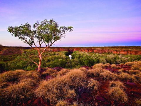 Island Stack, Boodjamulla (Lawn Hill) National Park - Restaurant Gold Coast 0