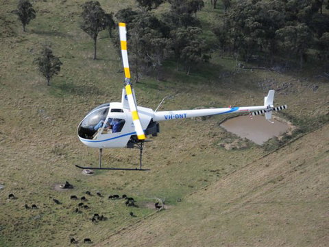 Fleet Adventures - Restaurant Gold Coast 19