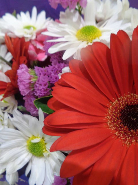 Marysworldart Bali Imports - Restaurant Gold Coast 0