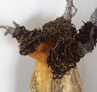 Caldera Wildscapes Gallery - Restaurant Gold Coast