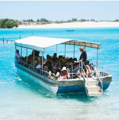 Willie Creek Pearl Farm - Restaurant Gold Coast 0