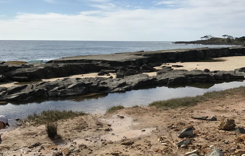 Yamba Tours And Charters - Restaurant Gold Coast 0