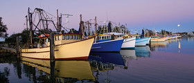 Yamba Tours And Charters - Restaurant Gold Coast 14