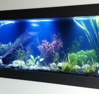 Aquariums in Cairns - Restaurant Gold Coast