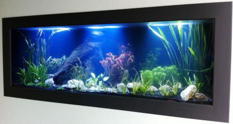 Aquariums In Cairns - Restaurant Gold Coast 0