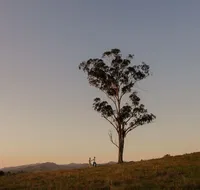Faulls Ridge Winery - Restaurant Gold Coast