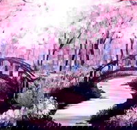 Pink Forest - Boardwalk Bar 4.00-6.00pm - Restaurant Gold Coast