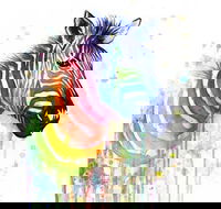 Rainbow Zebra - 65 Northbourne 7.30-9.30pm - Restaurant Gold Coast