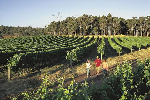 Margaret River, Caves, Wine And Cape Leeuwin Lighthouse Tour From Perth - Restaurant Gold Coast 0