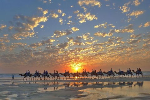 1 Hour Broome Sunset Camel Tour - Restaurant Gold Coast 0