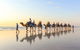1 Hour Broome Sunset Camel Tour - thumb 7
