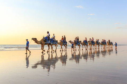 1 Hour Broome Sunset Camel Tour - Restaurant Gold Coast 7