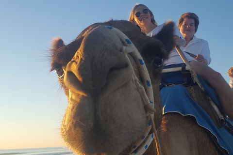1 Hour Broome Sunset Camel Tour - Restaurant Gold Coast 2