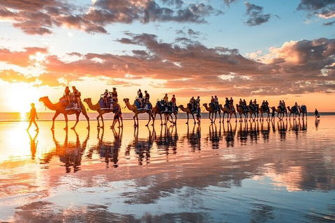 1 Hour Broome Sunset Camel Tour - Restaurant Gold Coast 9