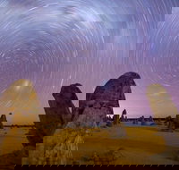 Pinnacles Sunset Dinner and Wildlife Experience a Small Group Tour - Restaurant Gold Coast