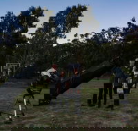 Stargazing Busselton with Mobile Observatory - Restaurant Gold Coast