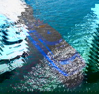Rottnest Island Roundtrip Ferry from Perth with Transfer - Restaurant Gold Coast