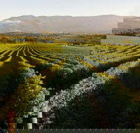 Half-Day Swan Valley Walk  Fruit Orchard - Restaurant Gold Coast