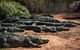 3 In 1 Tour: Matsoâ€™s Brewery, 12 Mile Bird Park & Malcolm Douglas Crocodile Park - thumb 6