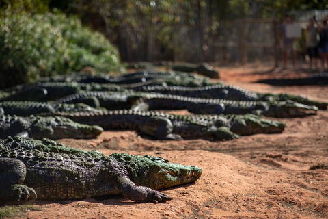 3 In 1 Tour: Matsoâ€™s Brewery, 12 Mile Bird Park & Malcolm Douglas Crocodile Park - Restaurant Gold Coast 6