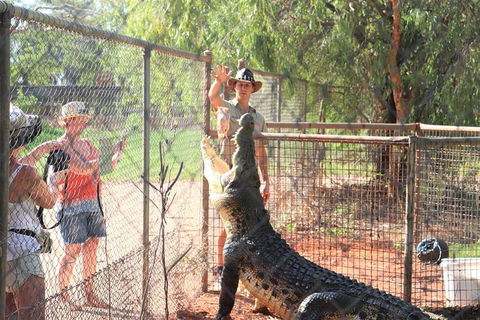 3 In 1 Tour: Matsoâ€™s Brewery, 12 Mile Bird Park & Malcolm Douglas Crocodile Park - Restaurant Gold Coast 15