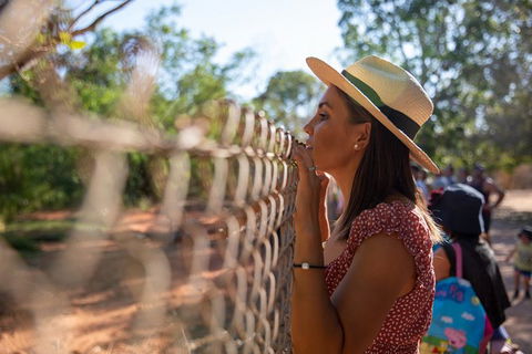3 In 1 Tour: Matsoâ€™s Brewery, 12 Mile Bird Park & Malcolm Douglas Crocodile Park - Restaurant Gold Coast 12
