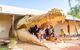 3 In 1 Tour: Matsoâ€™s Brewery, 12 Mile Bird Park & Malcolm Douglas Crocodile Park - thumb 16
