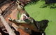 3 In 1 Tour: Matsoâ€™s Brewery, 12 Mile Bird Park & Malcolm Douglas Crocodile Park - thumb 3