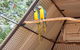 3 In 1 Tour: Matsoâ€™s Brewery, 12 Mile Bird Park & Malcolm Douglas Crocodile Park - thumb 11