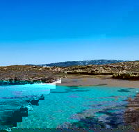 Rottnest Island Roundtrip Fast Ferry from Hillarys Boat Harbour - Restaurant Gold Coast
